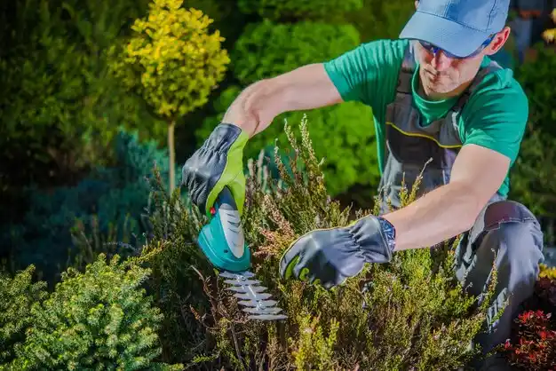 landscaping services Remsenburg-Speonk